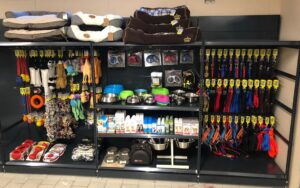 481060390 1135742948346025 1290618121575346039 n