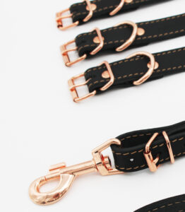 Heim GmbH auf der Interzoo