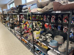 481320182 1135802745006712 2705069222132341081 n