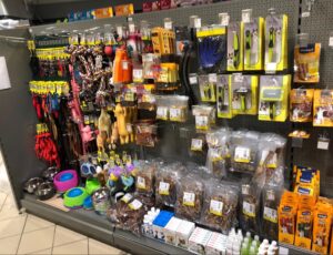 481354064 1135742841679369 5583274471350806253 n