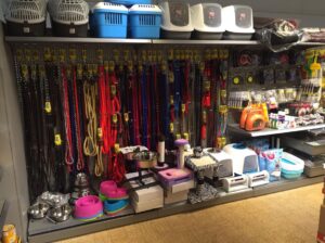 481511710 1135742871679366 1689546815512330081 n